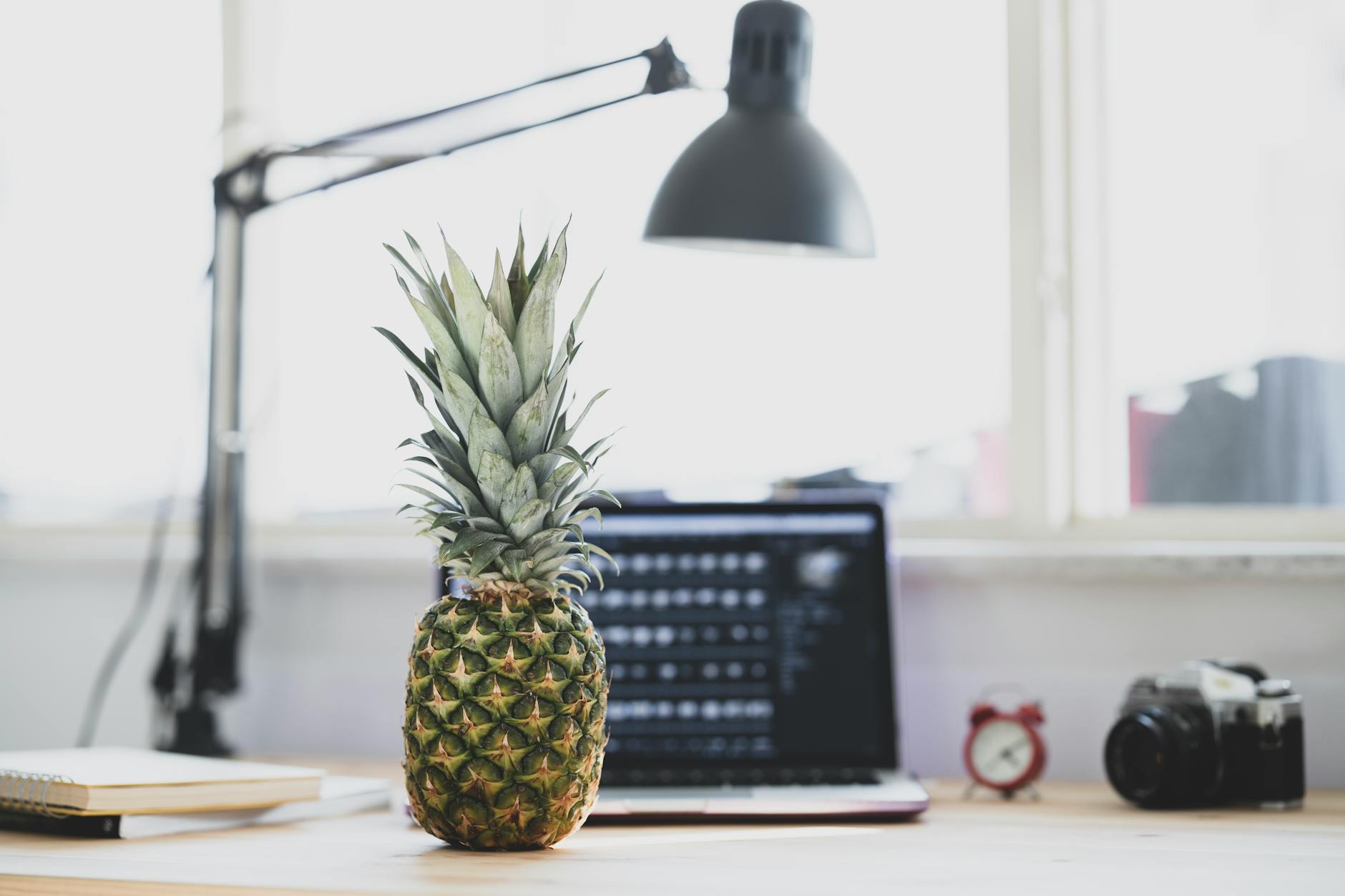 LinkedIn vs. Your CV: What Recruiters Focus on Most - Professional photography