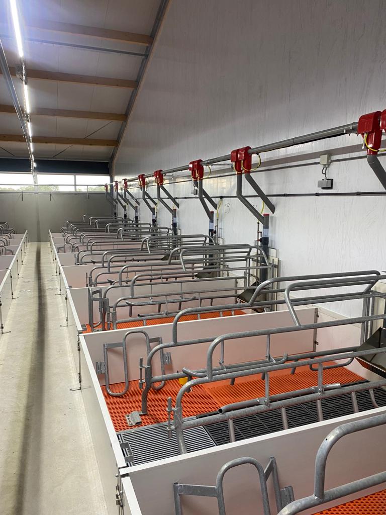 Zo realiseert Van Osch Uden stap voor stap een zeugenstal op maat