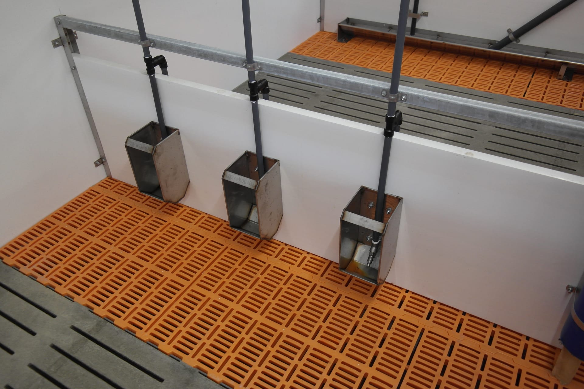 Drinkbakken varkens morsverlies voorkomen: Welke drinkbakken voor varkens voorkomen morsverlies en waterverspilling?
