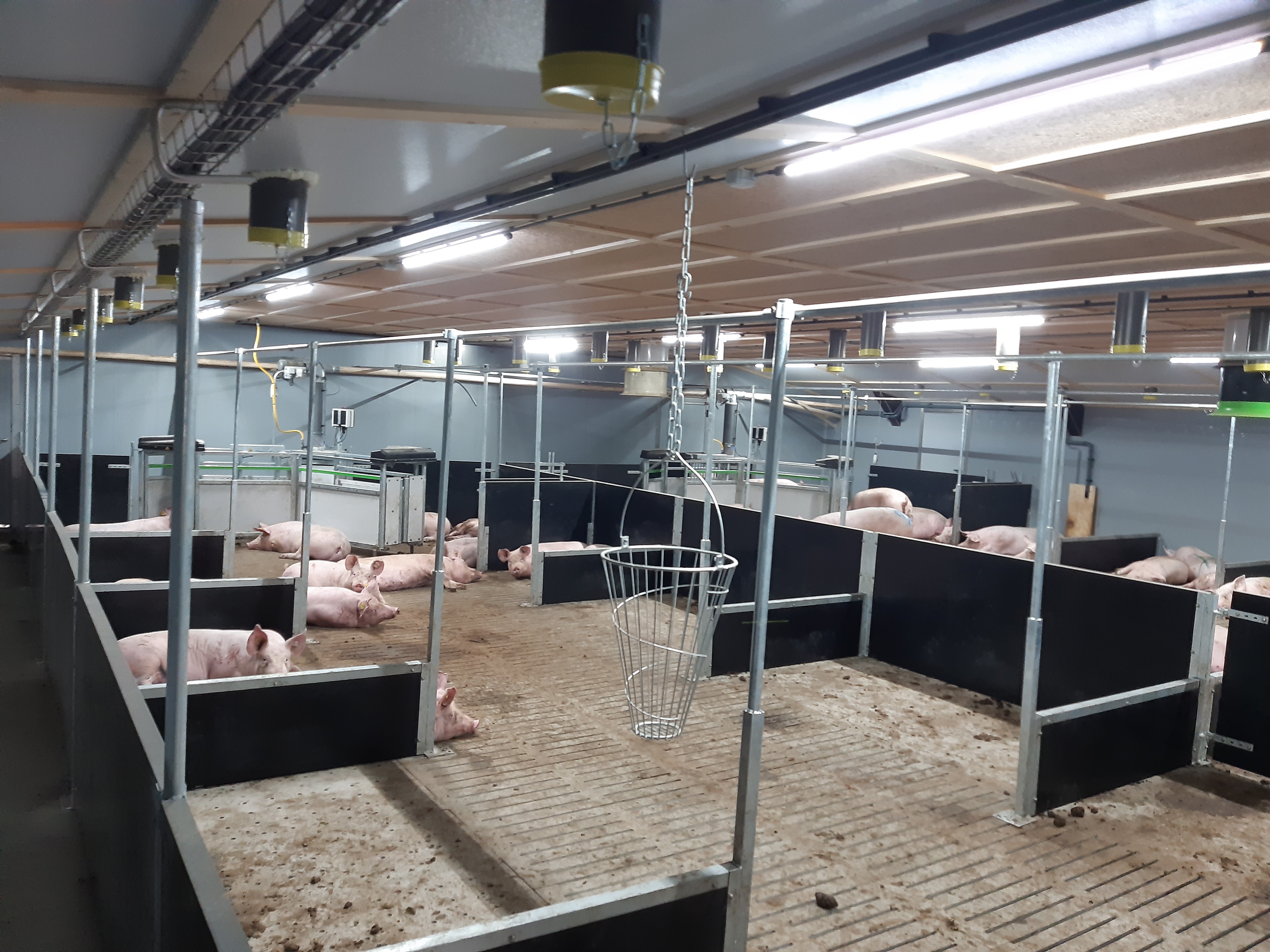 Keuze 4: hoe kies je een roostervloer die na tien jaar nog voldoet?