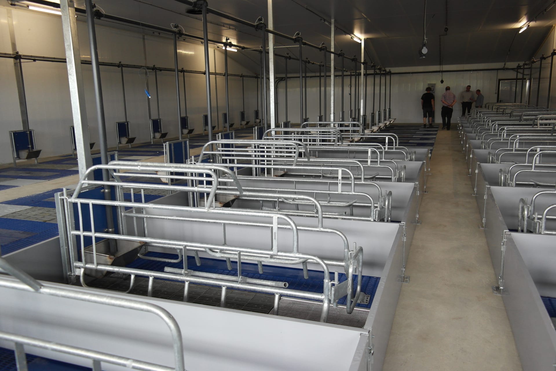 Drinkbakken plaatsing biggen morsen: Morsen uw biggen water? Zo controleert u hoogte, debiet en plaatsing van de drinkbak