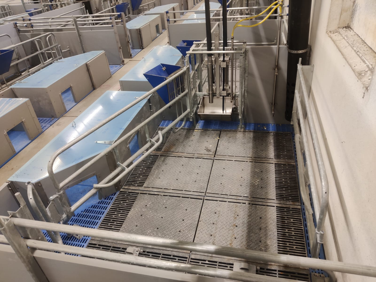 Drinkbakken varkens morsverlies voorkomen: Waarom is de vloer bij de drinkplek in je varkensstal altijd nat?