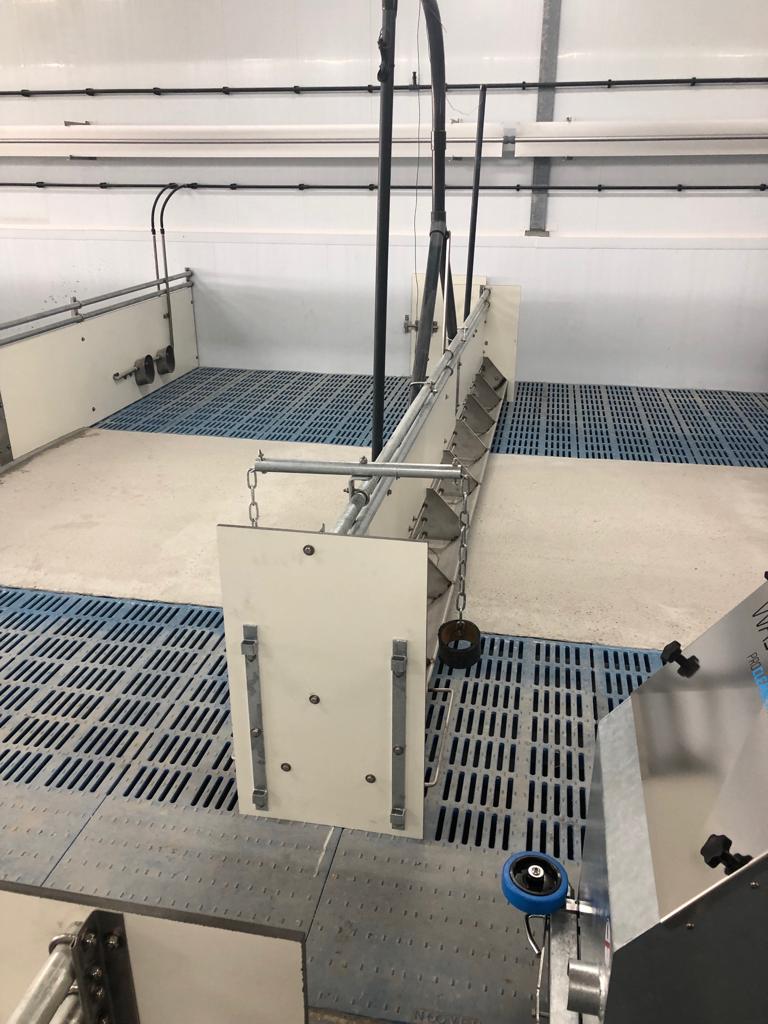 Troggen varkens type kiezen: Troggen voor varkens: welk type past bij jouw houderijsysteem?