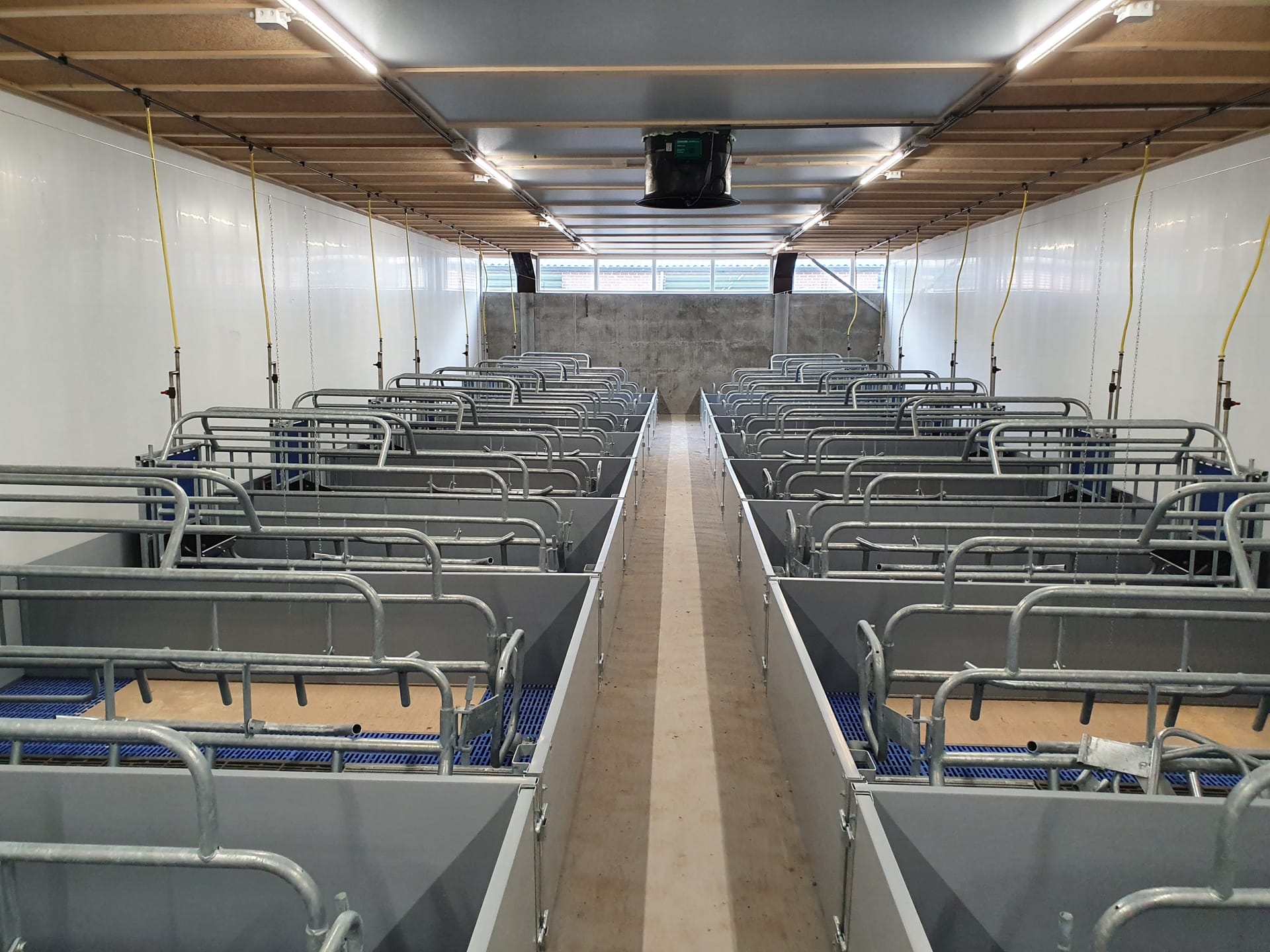 Drinkbakken varkens materiaalkeuze lange termijn: Hoe verandert de keuze als je richting vrijloopkraamhok gaat?