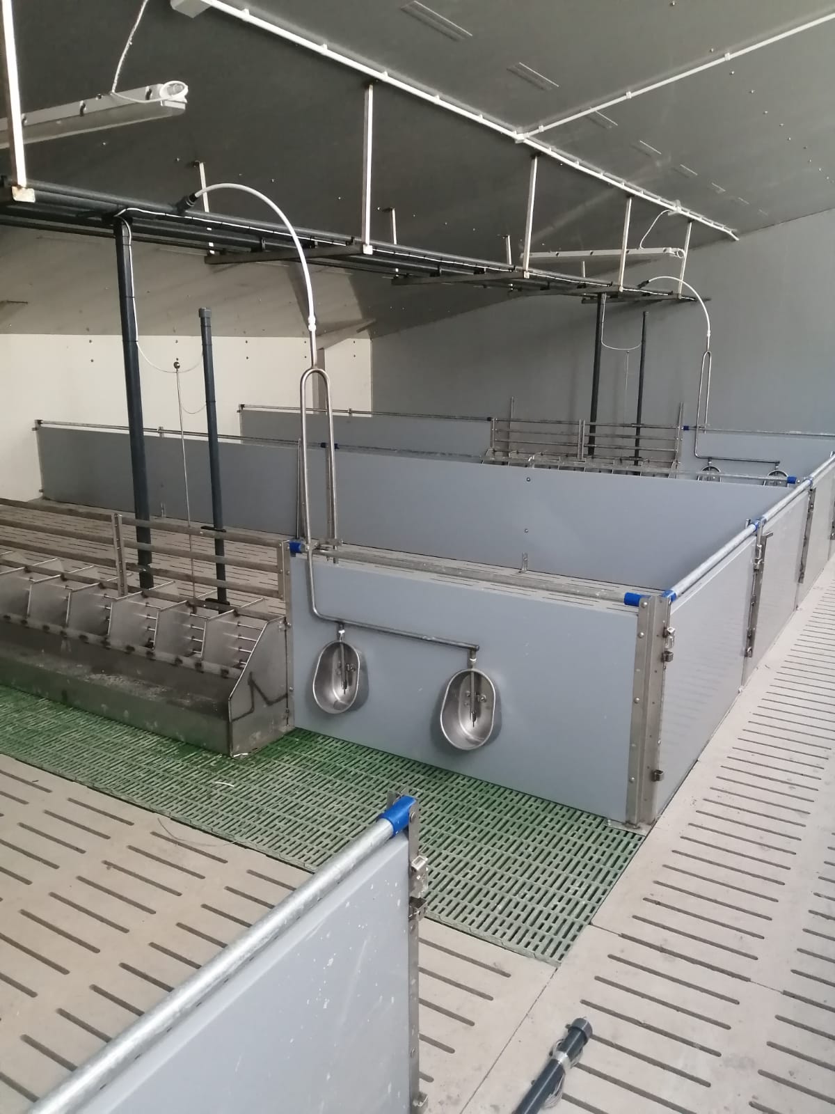 Drinkbakken varkens morsverlies voorkomen: Hoeveel water verspillen varkens bij de drinkbak of nippel?