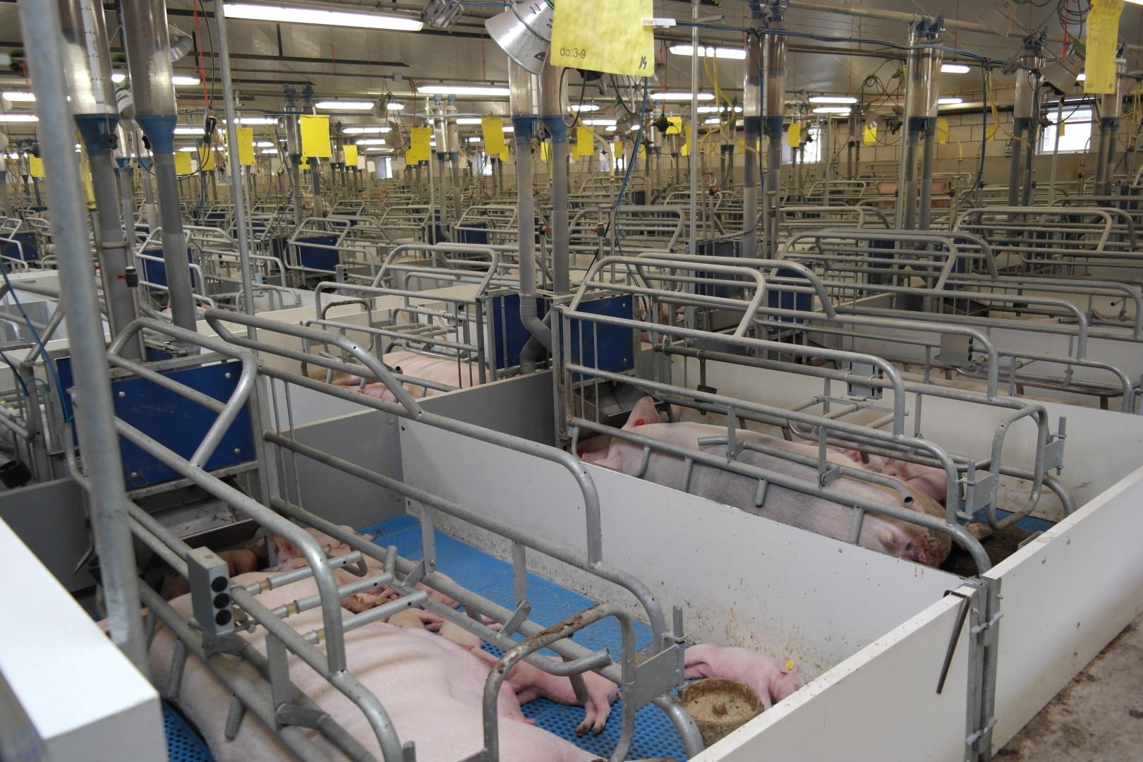 Waarom werkt een kopie van je oude kraamstal niet meer?