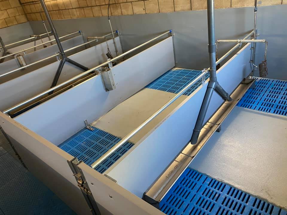 Materialen biggenhuisvesting kiezen: Waarom loopt de materiaalkeuze in de biggenstal zo vaak mis?