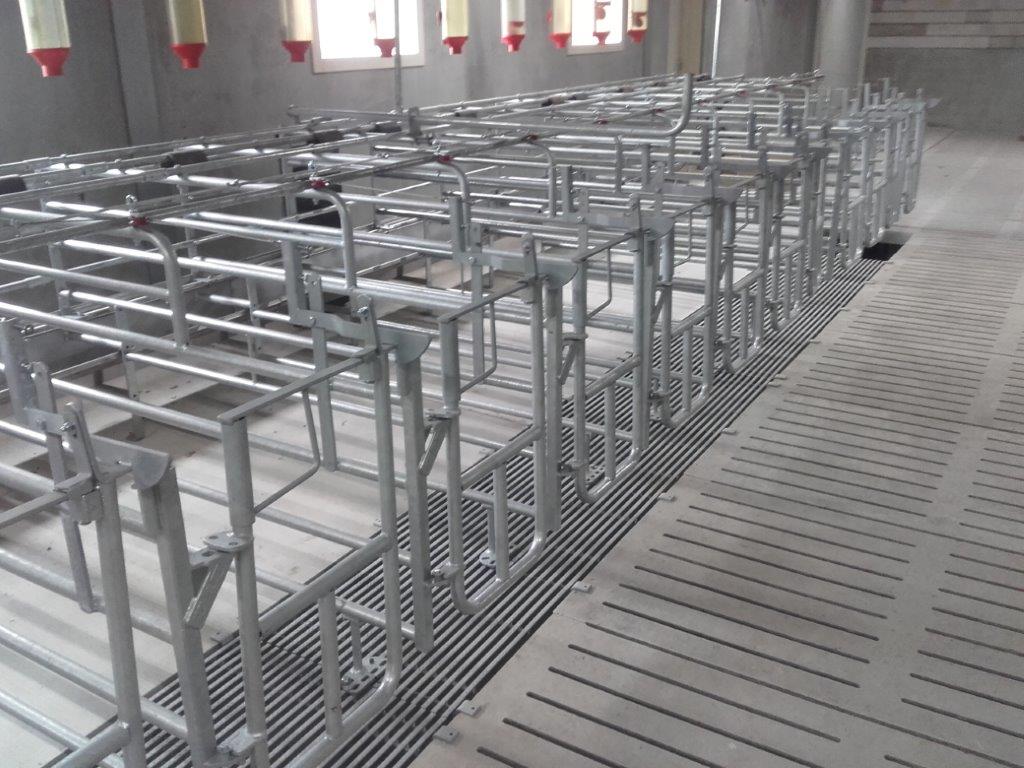 Welk drinkbakken varkens materiaal houdt het langst stand: RVS of kunststof?