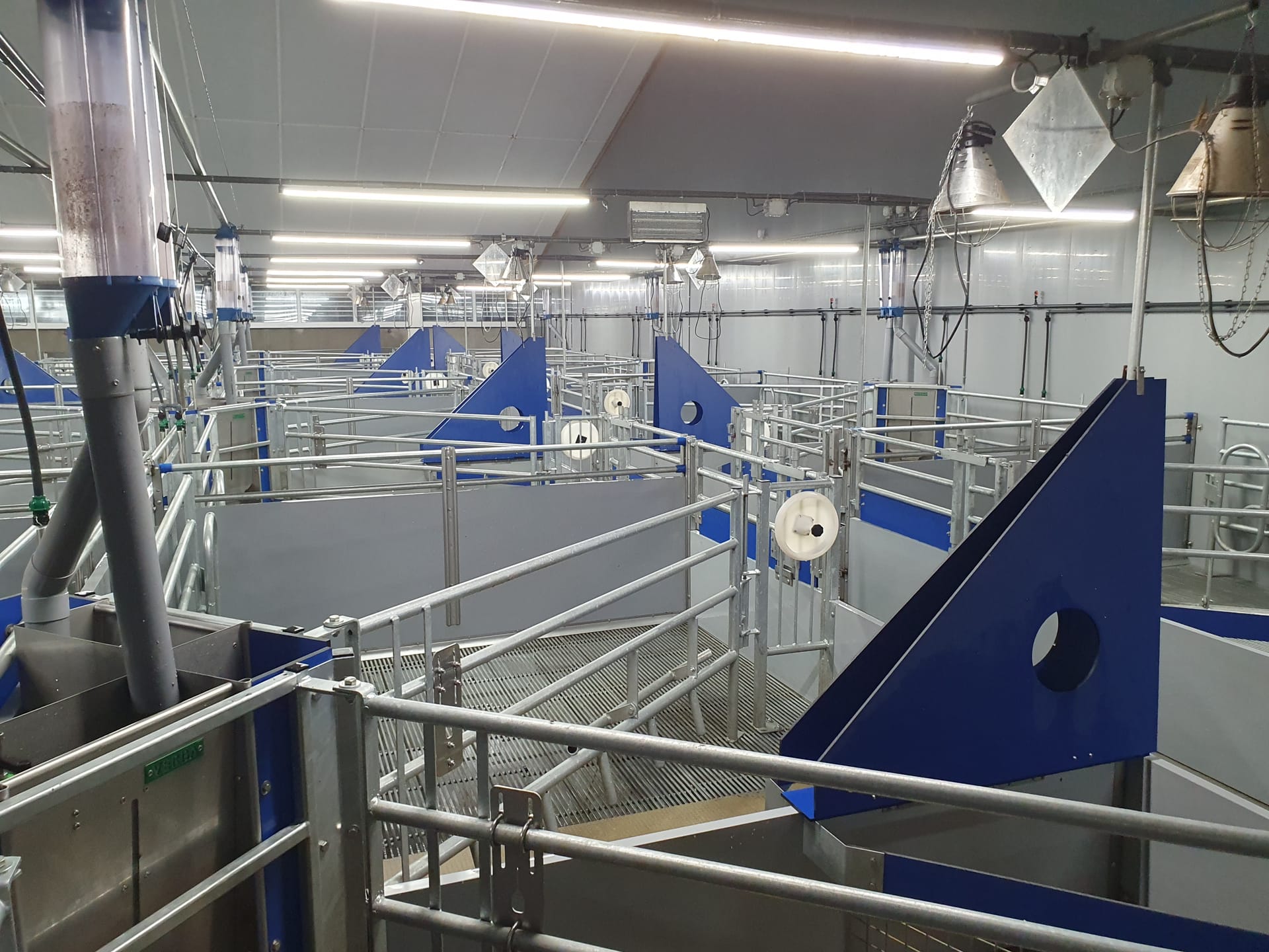 Wat zie je bij de vrijloopkraamhokken EuroTier 2026 hal 15, 16 en 17?