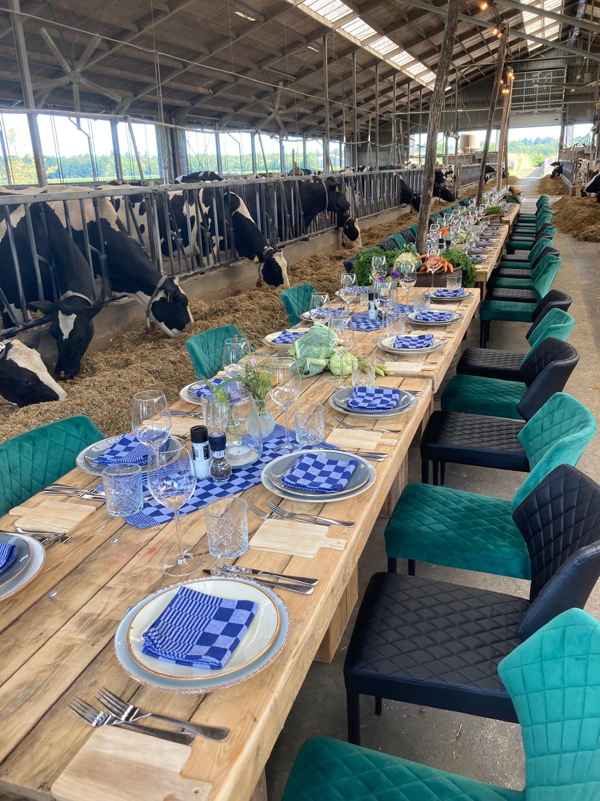 Is een walking dinner echt geschikter voor kleine gezelschappen dan bbq catering